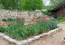 Restoring the Soul: Cedarbrake Catholic Retreat Center a hidden gem in Temple